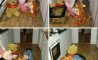 Fun Pic - Donnnerstag Fun PicDump #264 - 80