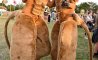 Fun Pic - Donnerstag Fun PicDump #289 - 121