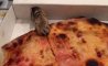 Fun Pic - Donnerstag Fun PicDump #304 - 87