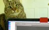 Fun Pic - Donnerstag Fun PicDump #345 - 5