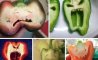 Fun Pic - Donnerstag Fun PicDump #345 - 89