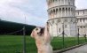 Fun Pic - Donnerstag Fun PicDump #353 - 102
