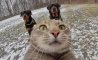 Fun Pic - Donnerstag Fun PicDump #353 - 2