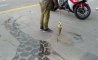 Fun Pic - Donnerstag Fun PicDump #358 - 80