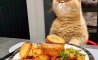 Fun Pic - Donnerstag Fun PicDump #403 - 125