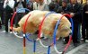 Fun Pic - Donnerstag Fun PicDump #412 - 63