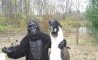 Fun Pic - Donnerstag Fun PicDump #424 - 2