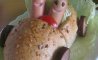 Fun Pic - Donnerstag Fun PicDump #503 - 112
