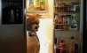 Fun Pic - Donnerstag Fun PicDump #516 - 13