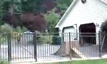 Lustiges Video : Die Rampe zum Garten