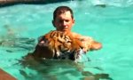 Lustiges Video - Plantschpartie mit einem Tiger
