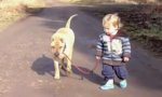 Lustiges Video - Gassi gehen