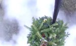 Lustiges Video : Weihnachtsbaum entsorgen mal anders