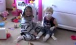 Funny Video - Bradley vs Popo-Salbe
