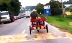 Funny Video - Motorisiertes Pferd
