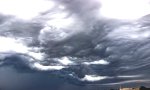 Movie : Undulatus Asperatus