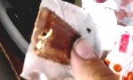 Protein-Schoki