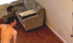 Funny Video - Mitbewohner inflagranti Erwischt