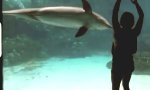 Movie : Wie man einen Delfin zum Lachen bringt