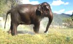Lustiges Video : Unterbodenwäsche