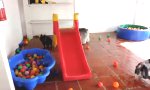 Funny Video : Verrückt nach Bällen