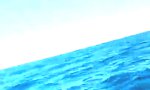 Lustiges Video - Hai vs Fischerboot