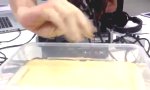 Lustiges Video - Experiment mit Sporen