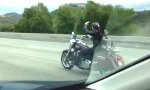 Gassigehen auf der Harley