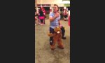 Funny Video : Wenn der kleine Bär zu schleppen hat