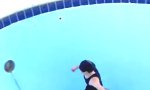 Gülle-Pool-Parkour