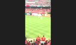 Lustiges Video : Selfie-Flitzer beim Baseball