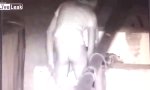 Funny Video - Schnelle Nummer auf der Mauer