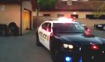 Lustiges Video : Polizeiwelpe