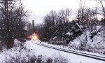 Lustiges Video : Polarexpress?