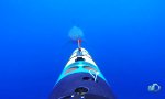 Hai-Angriff auf Unterwasserkamera
