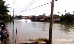 Funny Video : Düsen-Bambusboot Ralley