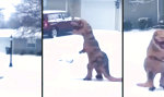 Lustiges Video - Dino beim Schneeschippen