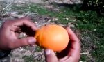 Movie : So schält man eine Orange