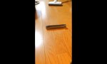 Lustiges Video - Musikalisches Finale beim Staubsaugen