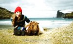 Movie : Google Sheep View