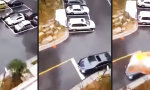 Lustiges Video - Schatz, du hast dein Lunchpaket vergessen