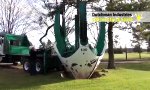 Lustiges Video : Baum-Umzugsmaschine