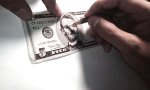 Funny Video : 5 Dollar Bill Murray
