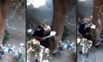 Lustiges Video : Kleiner Riss im Bäumchen