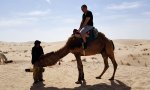 Lustiges Video : Unsanfter Abstieg vom Kamel