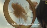 Lustiges Video - 1000 Jahre alte Windmühle in Iran