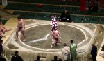 Lustiges Video : Der Sumo und der Ellbogen