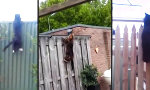 Funny Video - Anti-Ausbruchsystem für Katzen