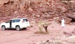 Baumstumpf entfernen in der Wüste