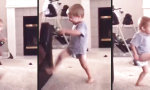 Funny Video : Ninja!